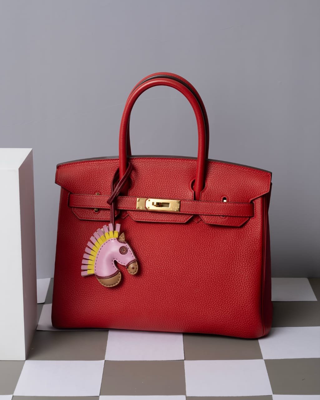 Red Hermès Collection Back View Birkin Kelly Constance