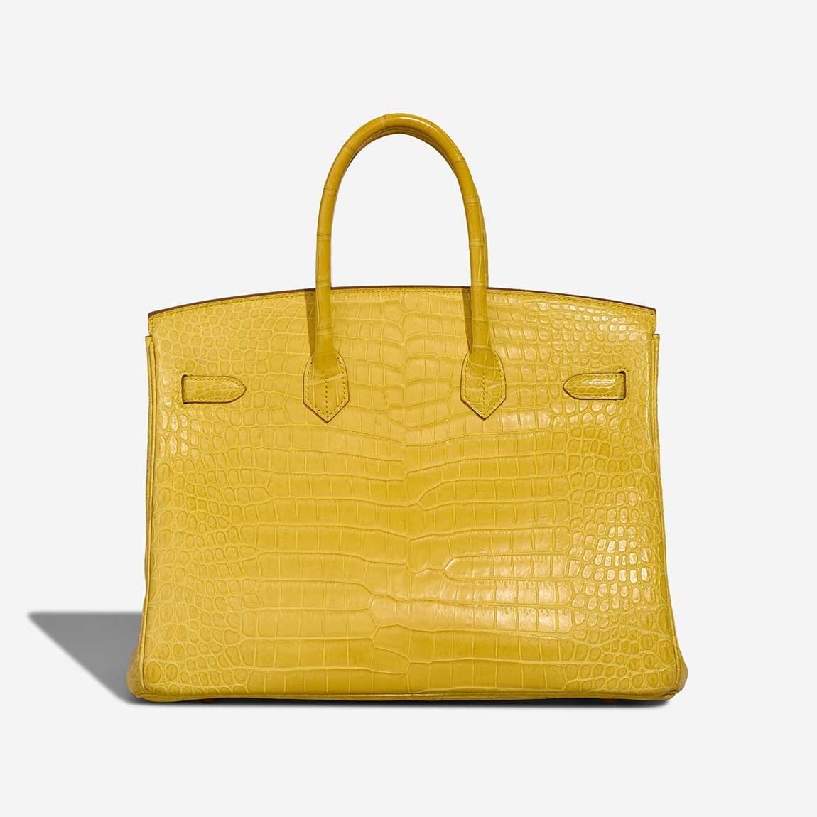 Crocodile Leather Birkin 35 Back Panel Glossy Scales GHW