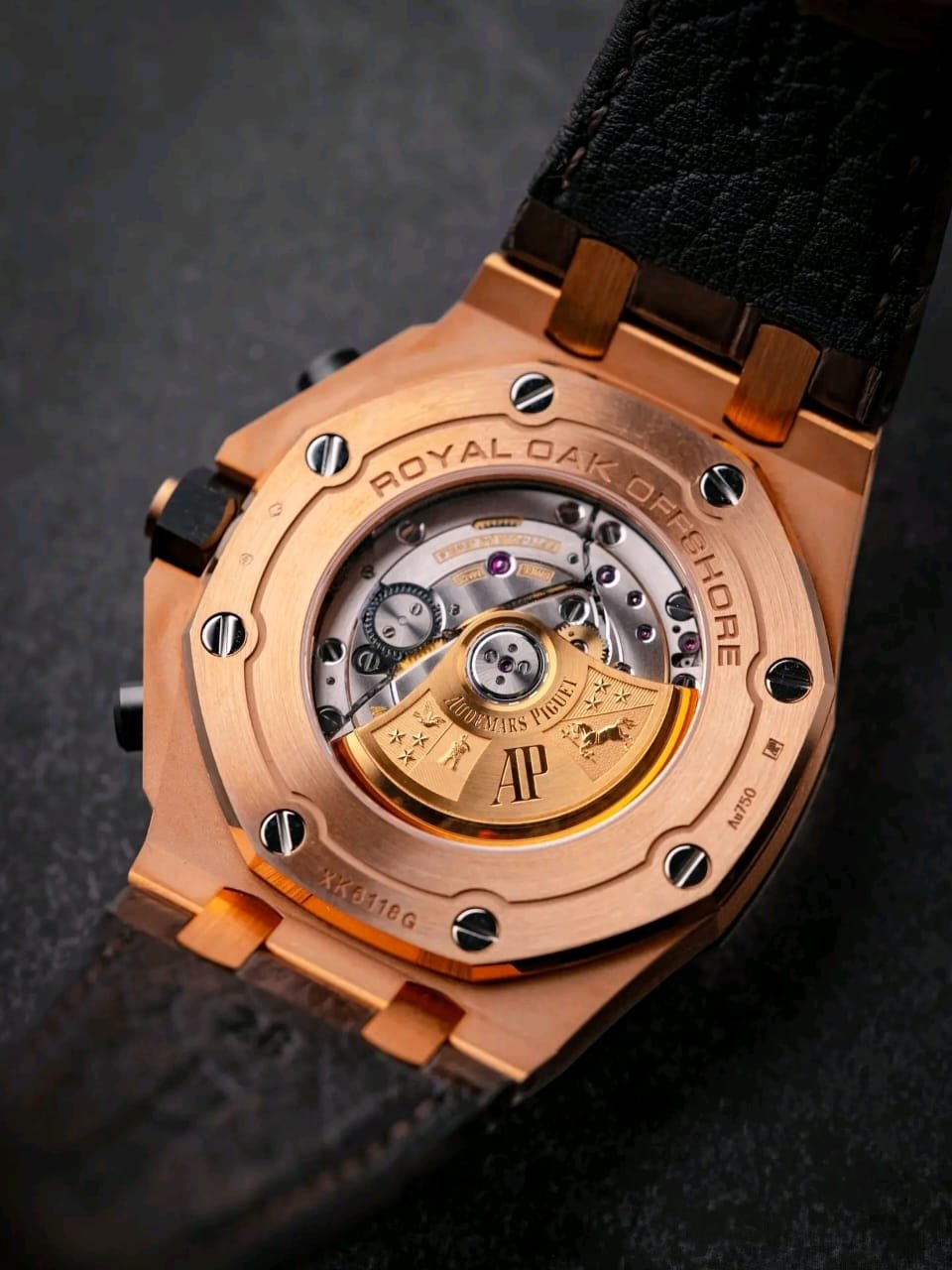 Audemars Piguet Royal Oak Offshore Case Back View