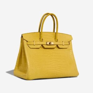 Crocodile Leather Birkin 35 Front Turnlock Glossy GHW