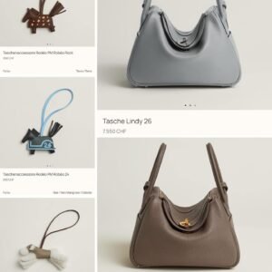 Hermès Switzerland Lindy 26 Gris Pantin Inventory Rodeo Buddy authentic bag