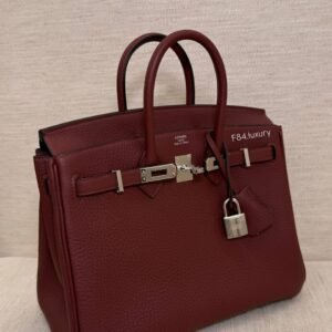 handbag shopee Side Profile Hermès Birkin 25 Rouge H PHW handbag shopee​