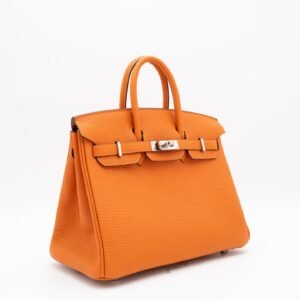 Hermès Birkin 25 Togo Orange Side Profile PHW Structured hermes twilly​