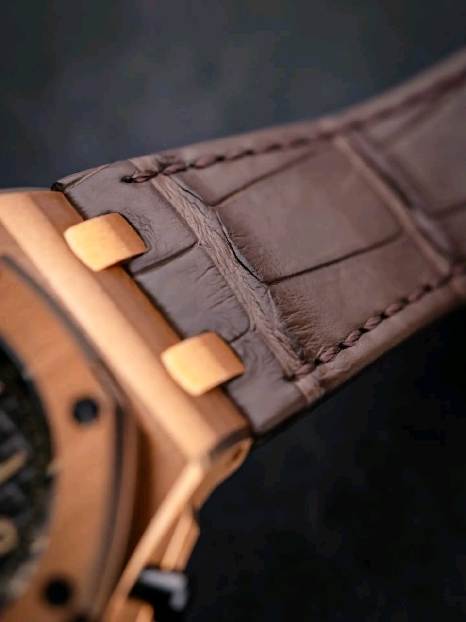 Audemars Piguet Royal Oak Offshore Strap Detail